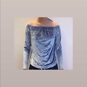 Brandy Melville John Galt Velvet Top